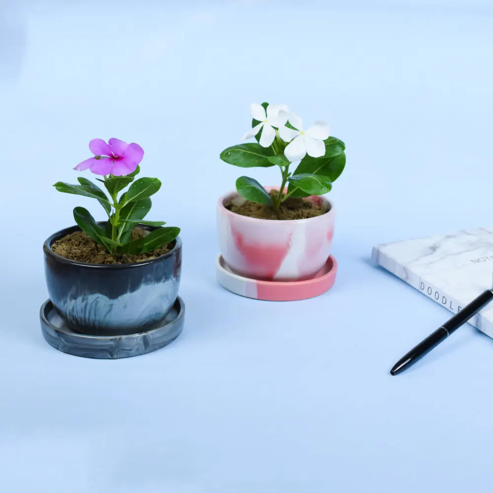 Marble Texture Majesty Pink & Black Ceramic Pot Ceramic Planters Urban Plant 