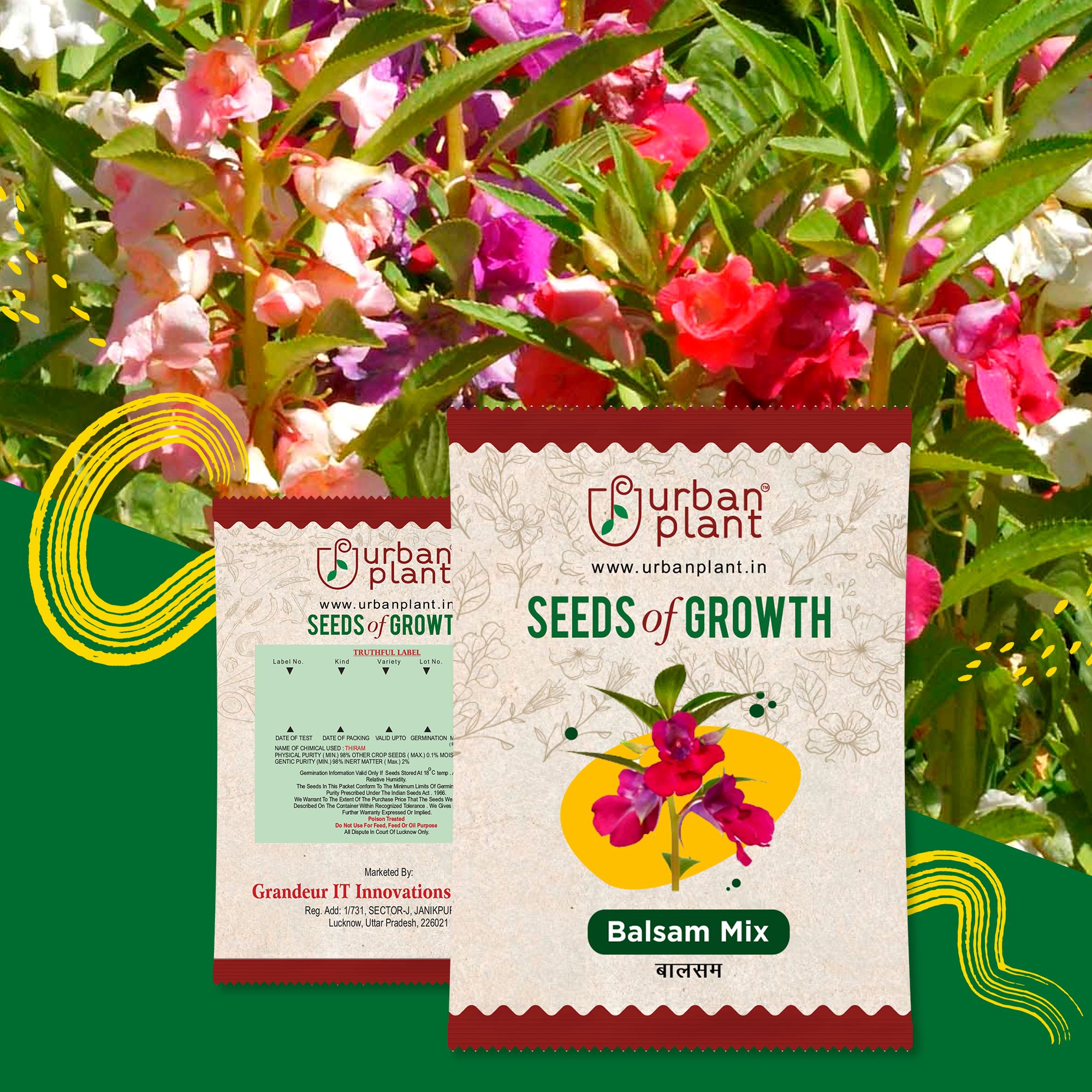 Balsam Mix Flower Seeds Urban Plant 