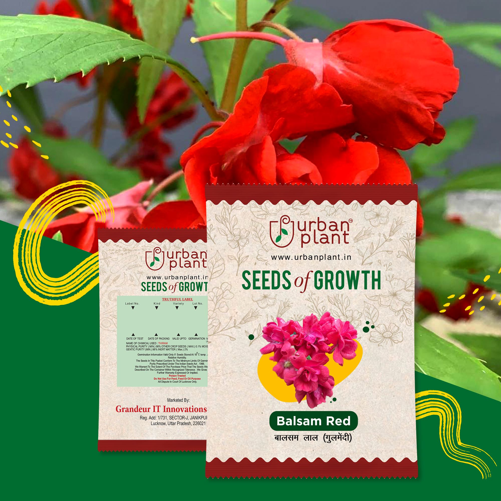 Balsam Red Flower Seeds Urban Plant 