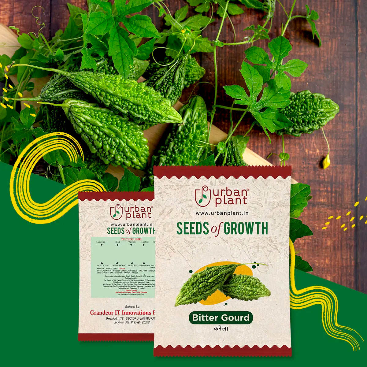 Buy Bitter Gourd Seeds Online-Urban Plant