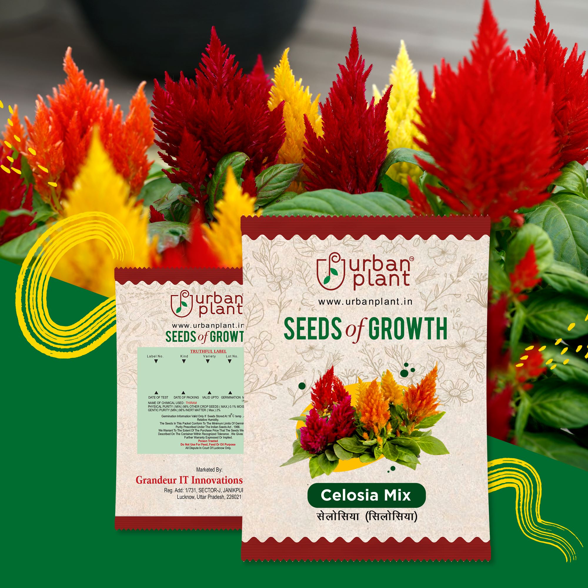 Celosia Mix Flower Seeds Urban Plant 