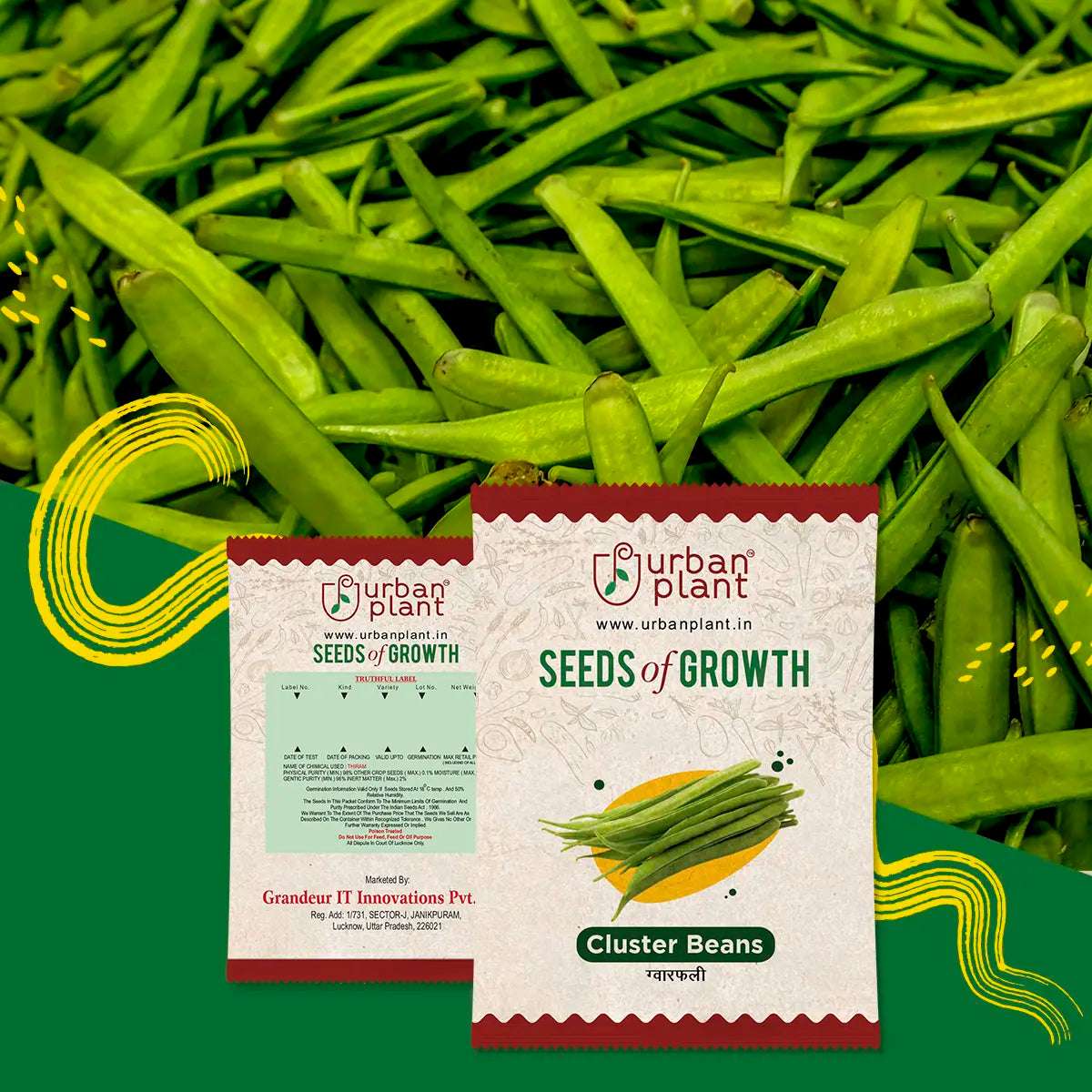 Cluster Beans Seeds Urban Plant 