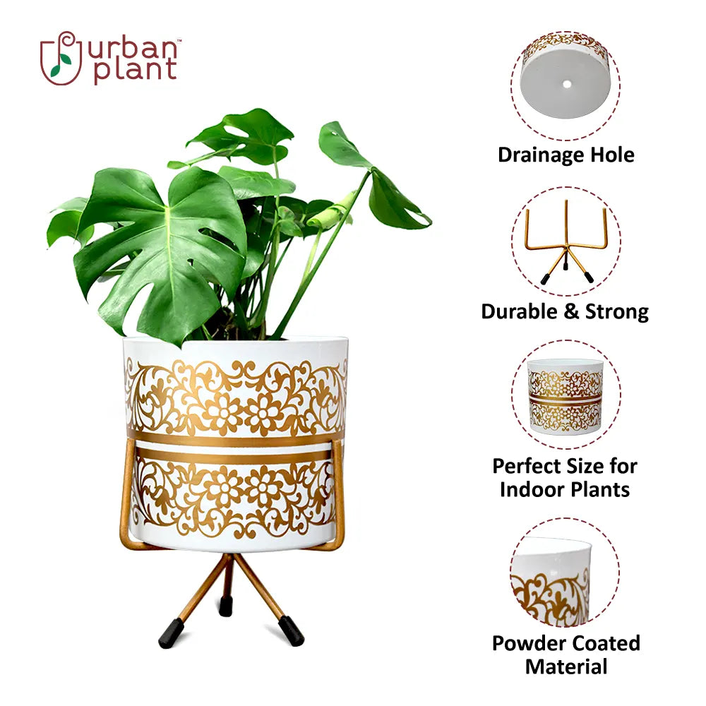 Floral Design Table Top Metal Planter with Iron Stand Metal Planter Urban Plant 