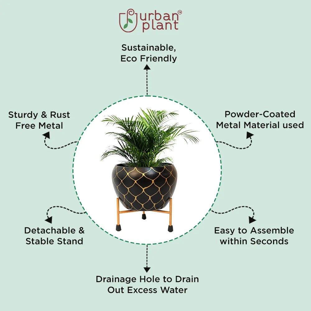Designer Nest Table-Top Metal Pot with Stand for Indoor and Outdoor Decor Metal Planter Urban Plant 