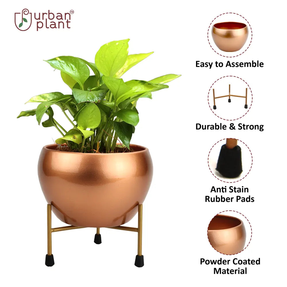 Classy & Vibrant Design Round Metal Pot For Home Decor & Gardening Metal Pot Urban Plant 