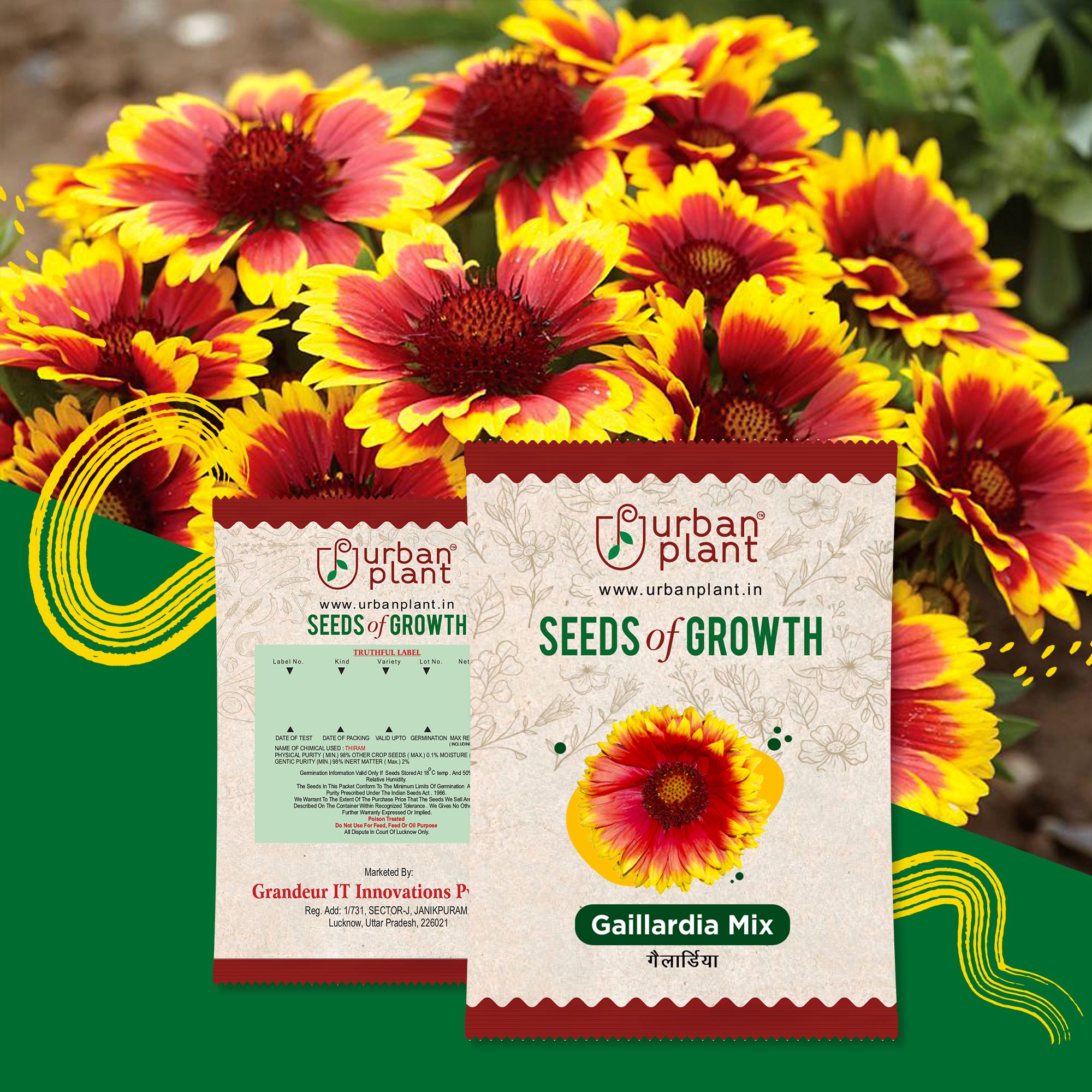 Gaillardia Mix Flower Seeds Urban Plant 