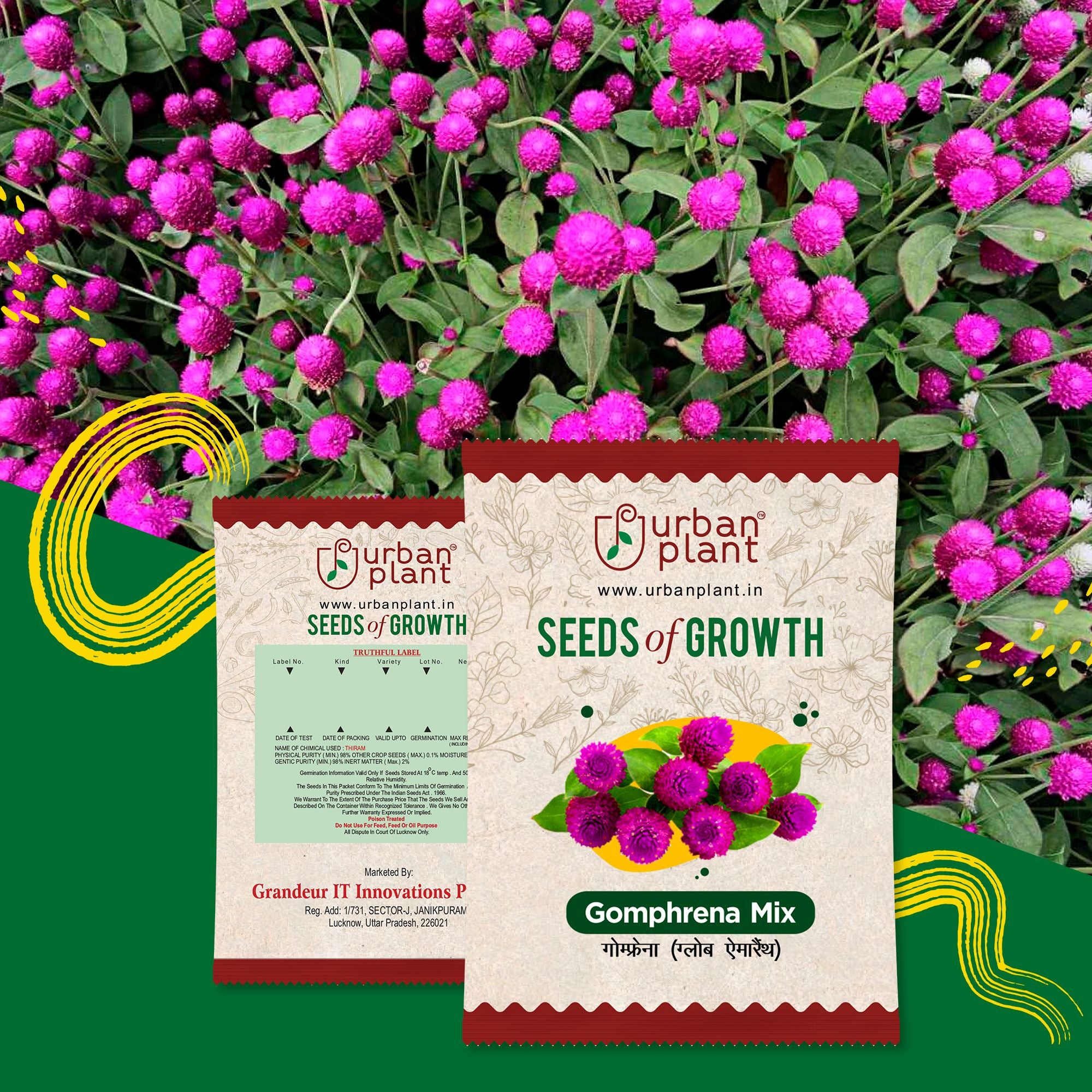 Gomphrena Mix Flower Seeds Urban Plant 