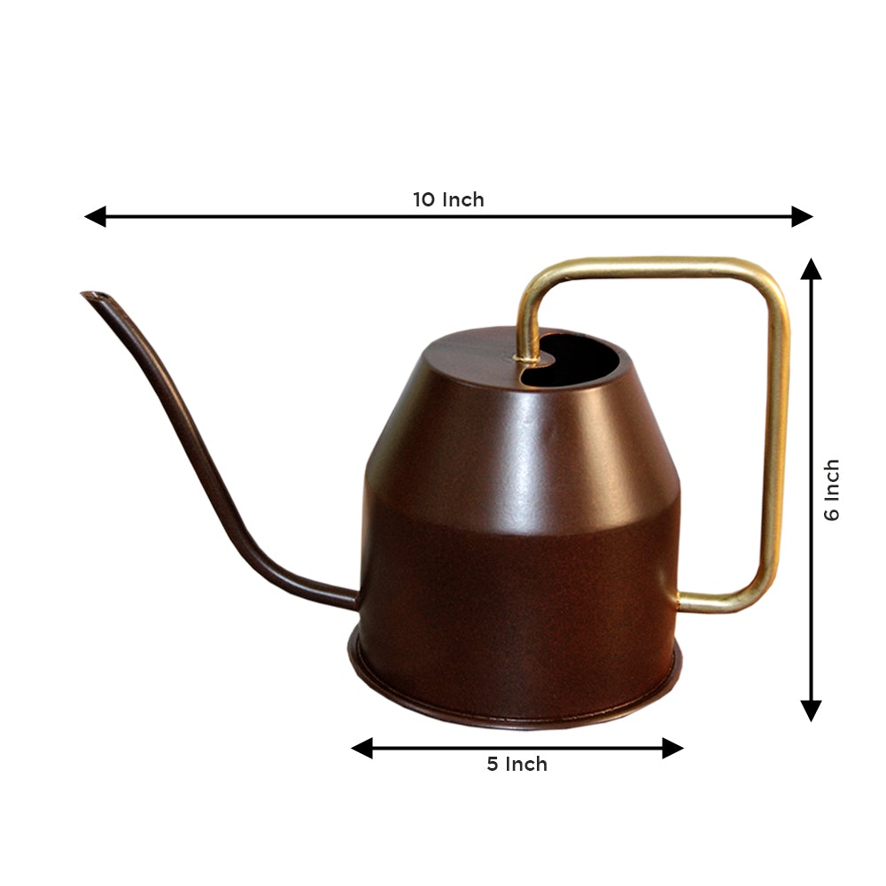Urban Watering Can Urban Plant 