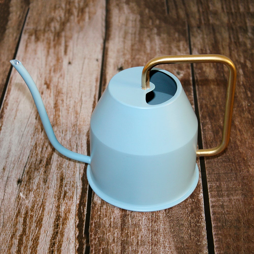 Watering Can Urban Plant Blue 