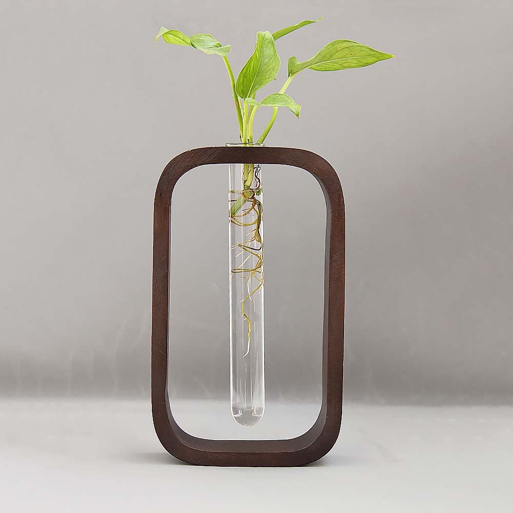 Buy Modern Style Decorative Test Tube Planter with Wooden Frame Online Tube Planter Urban Plant 