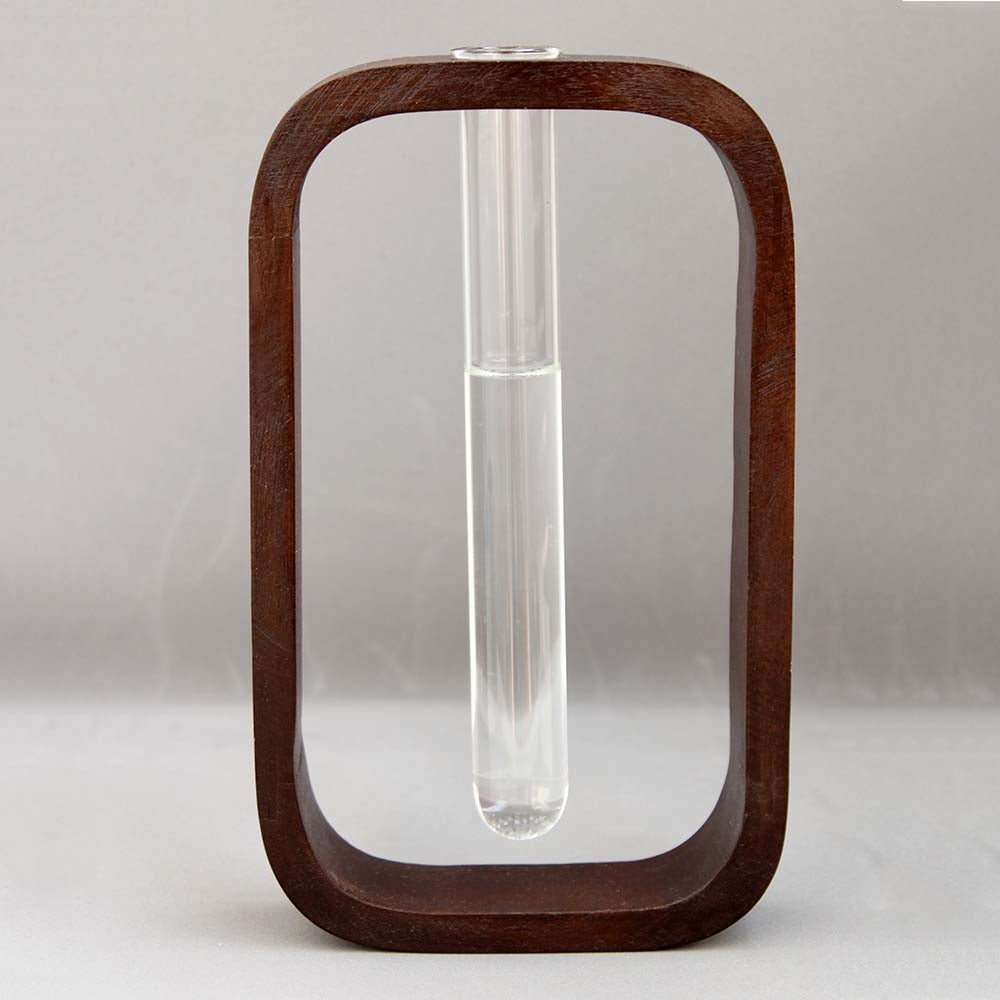 Buy Modern Style Decorative Test Tube Planter with Wooden Frame Online Tube Planter Urban Plant 