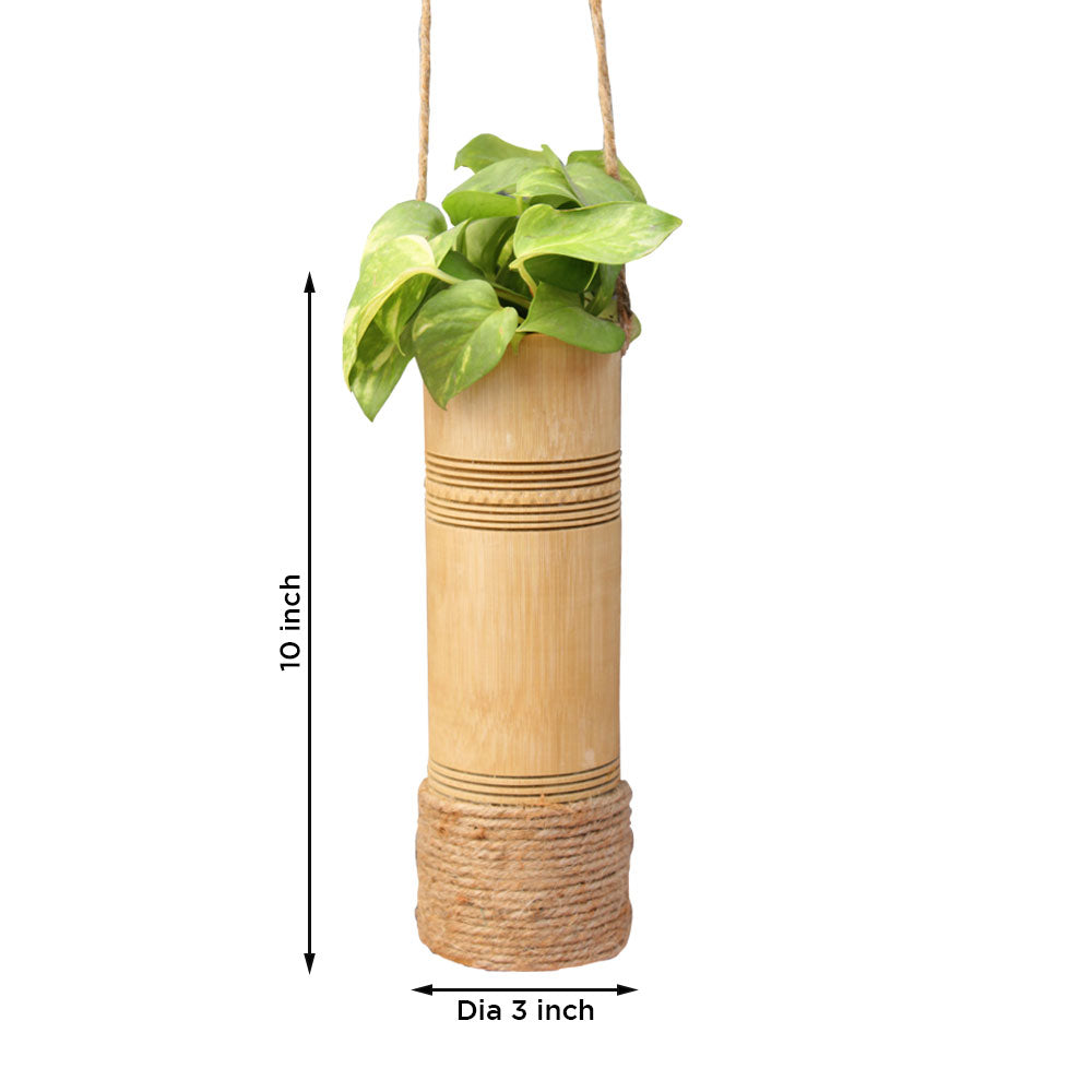Urban Plant Eco-Friendly Bamboo Planter [Hanging Series HS01] Urban Plant 