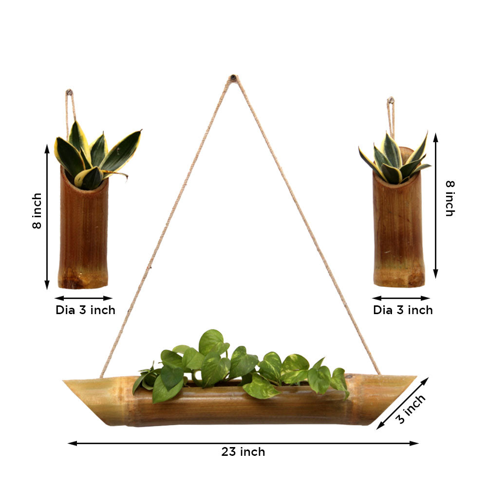 Urban Plant Eco-Friendly Bamboo Planters (Set of 3) [Hanging Series HS04] Urban Plant 