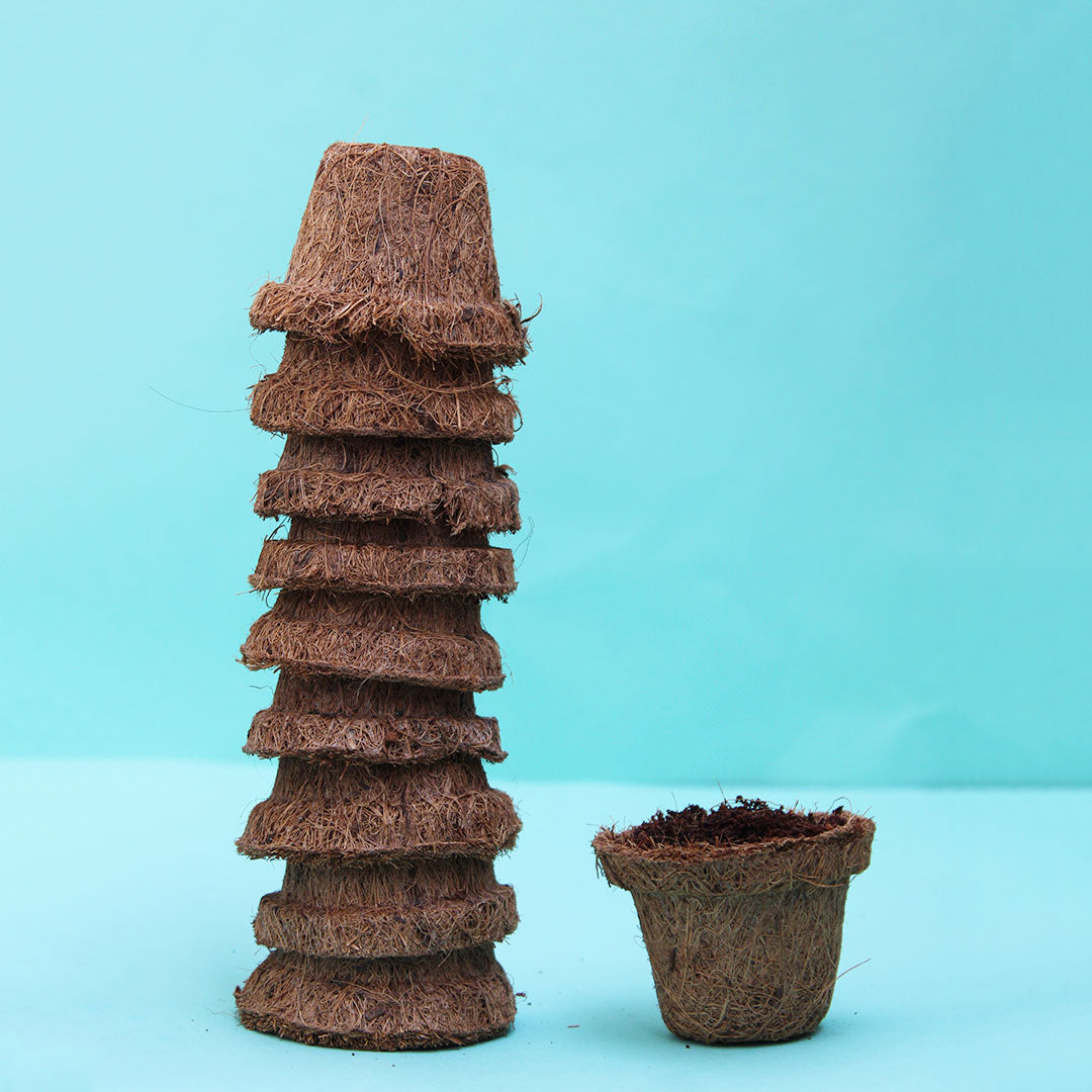Coir Germination Pots 2 Inch (Set of 10) Urban Plant 