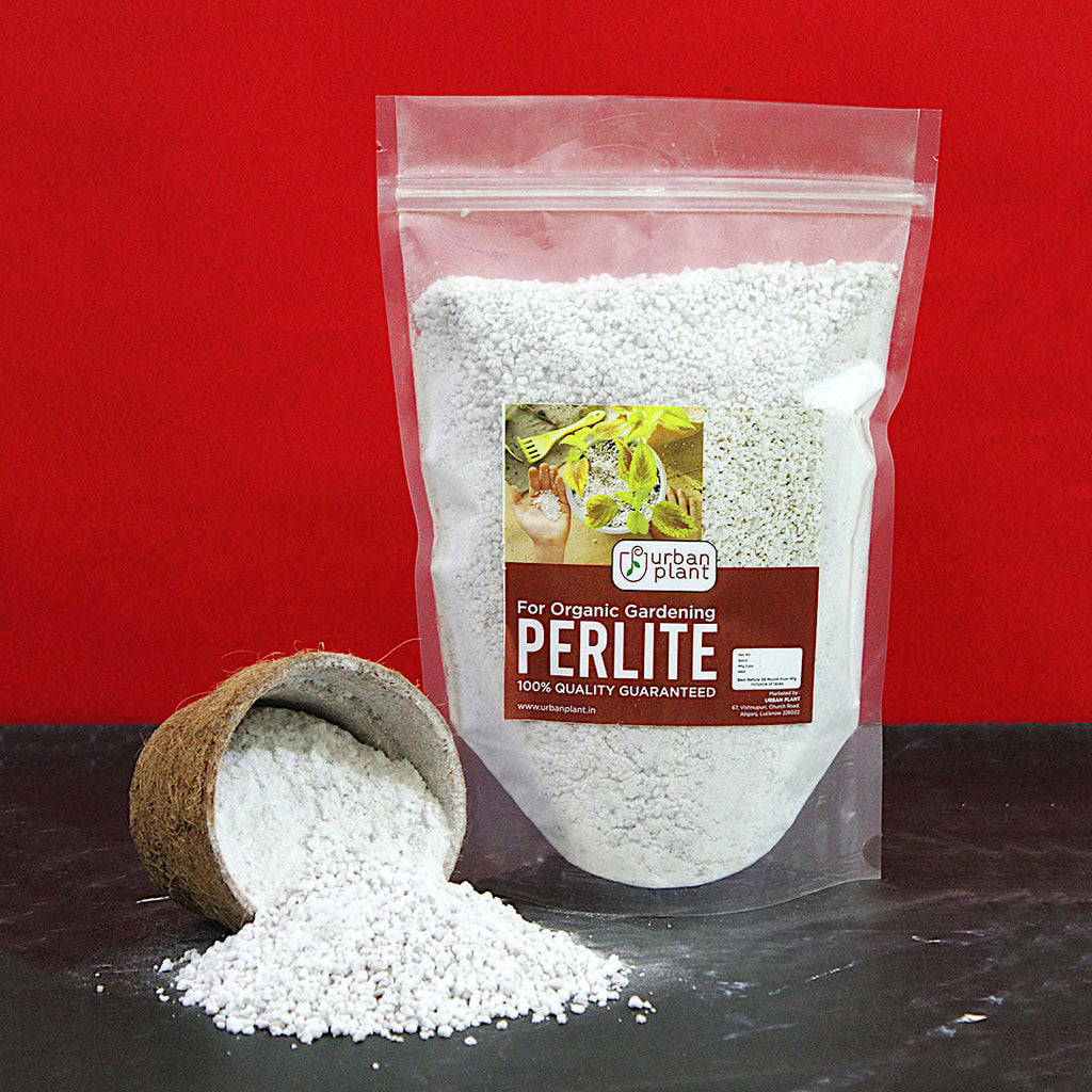 Buy Perlite for Plants to Make Potting Soil Mix for Home Garden- Urban ...