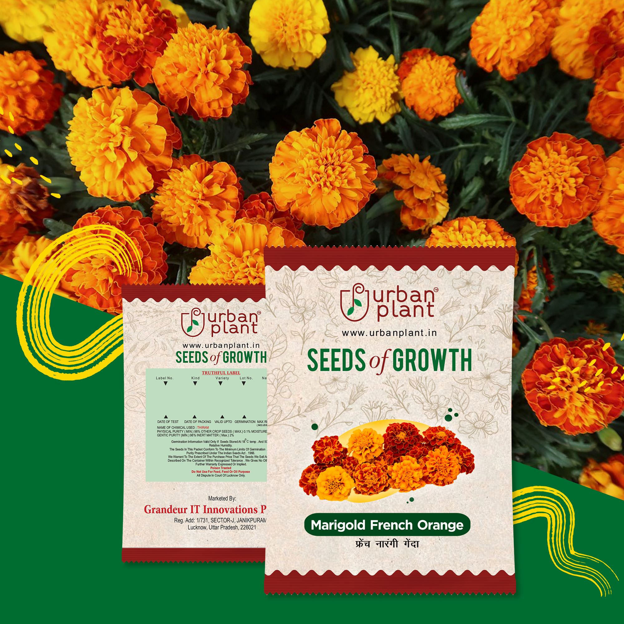 Marigold French Orange Flower Seeds Urban Plant 