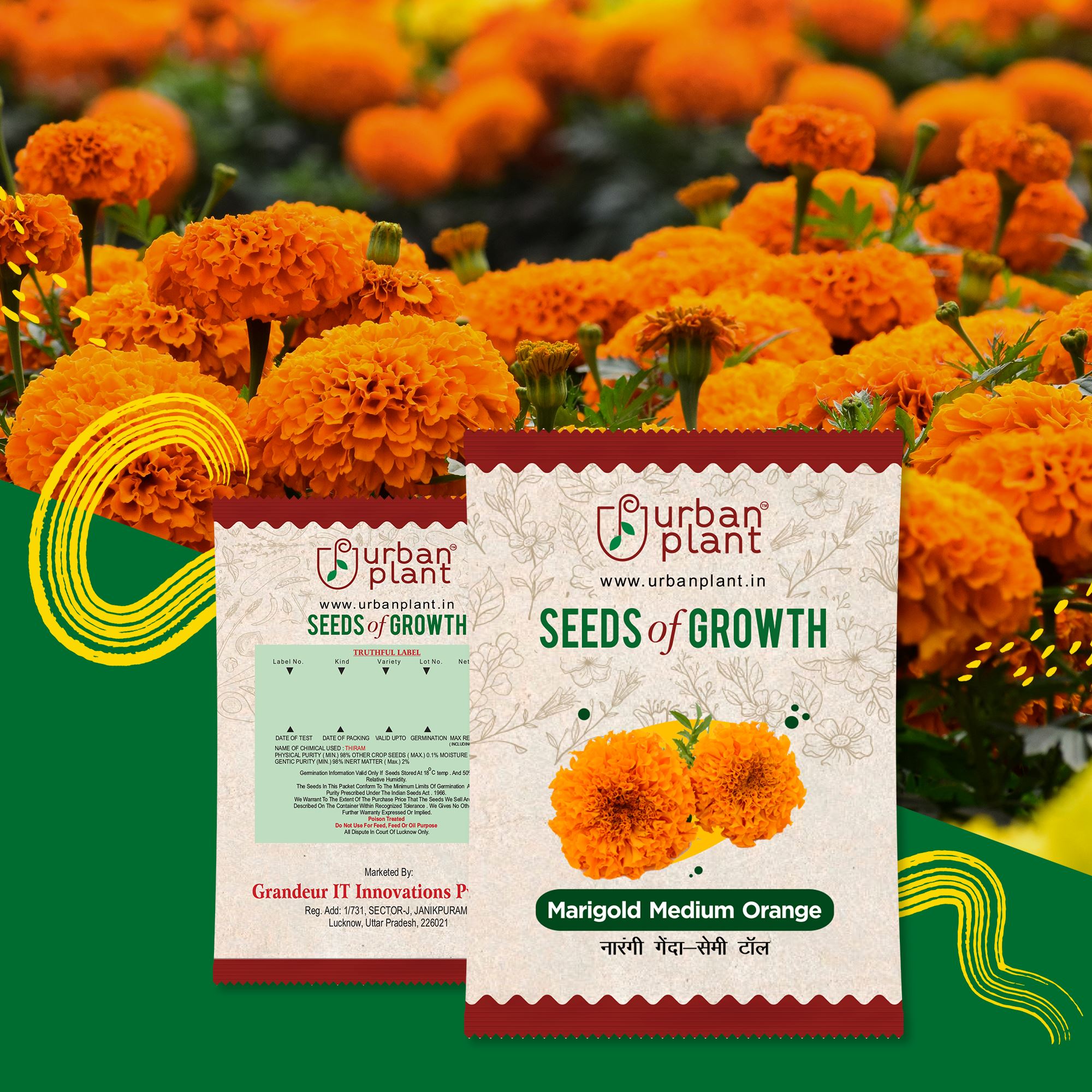 Marigold Medium Orange Flower Seeds Urban Plant 
