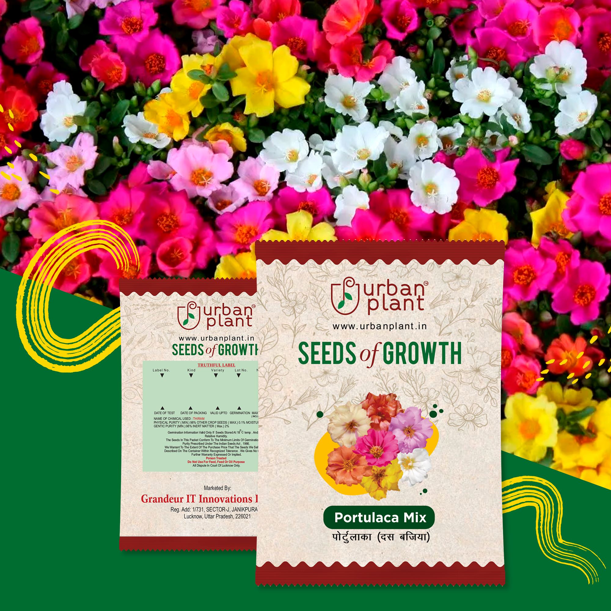 Portulaca Mix Flower Seeds Urban Plant 