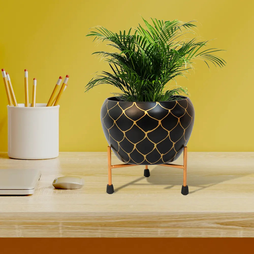 Designer Nest Table-Top Metal Pot with Stand for Indoor and Outdoor Decor Metal Planter Urban Plant Black 