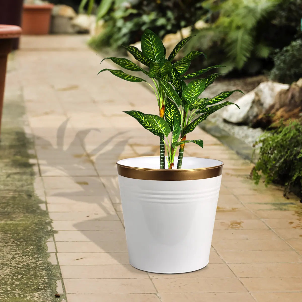 Bucket Patio Planter Urban Plant White 1 