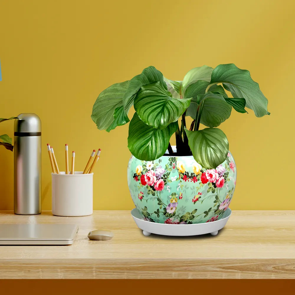 Round Designer Floral Metal Planter/Pot with Water Saucer Metal Planter Urban Plant White with Red Floral 