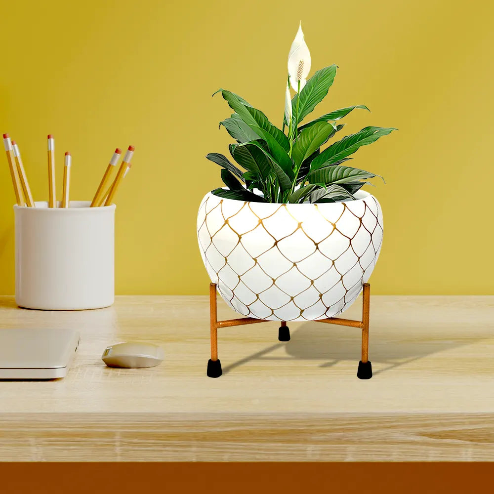 Designer Nest Table-Top Metal Pot with Stand for Indoor and Outdoor Decor Metal Planter Urban Plant White 