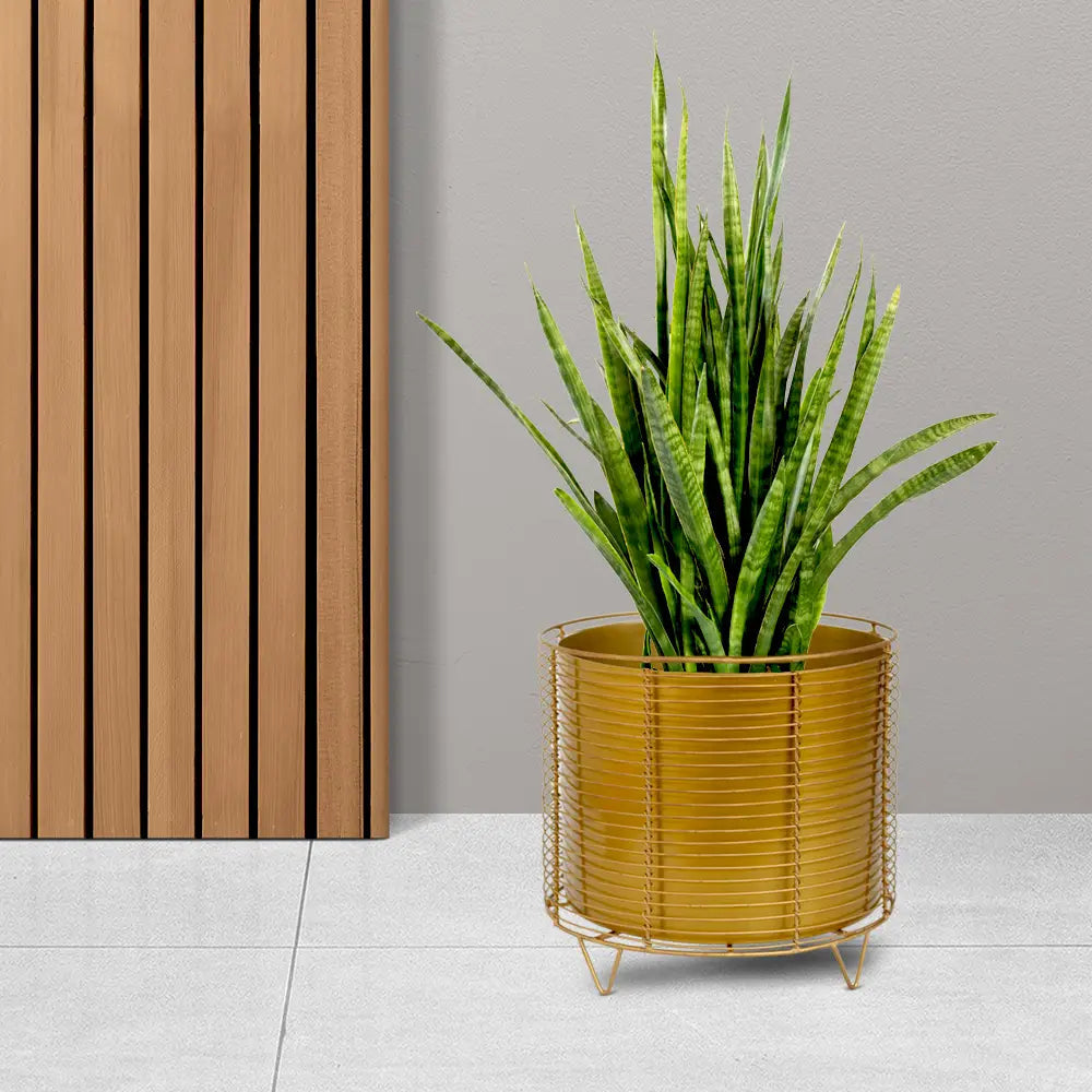 The Golden Cage Metal Planter Floor Standing Urban Plant 