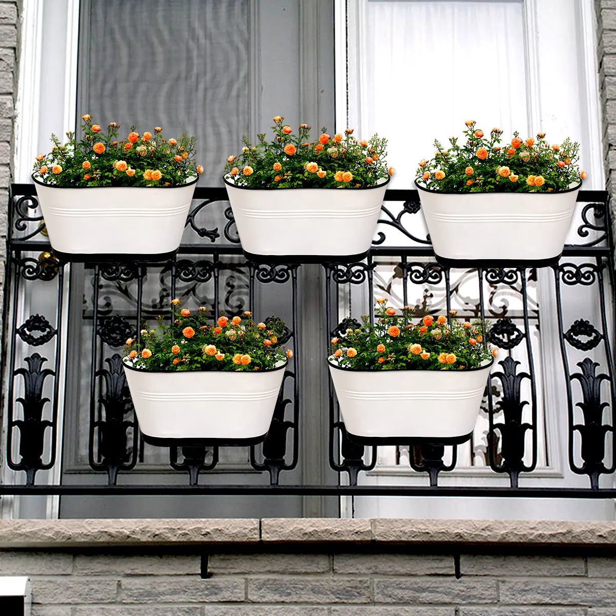 Hanging Planter Oval Shaped | Detachable Handle 10'' Inch (Multi Color) (Set of 5) Oval Balcony Hanging Pot Urban Plant White 