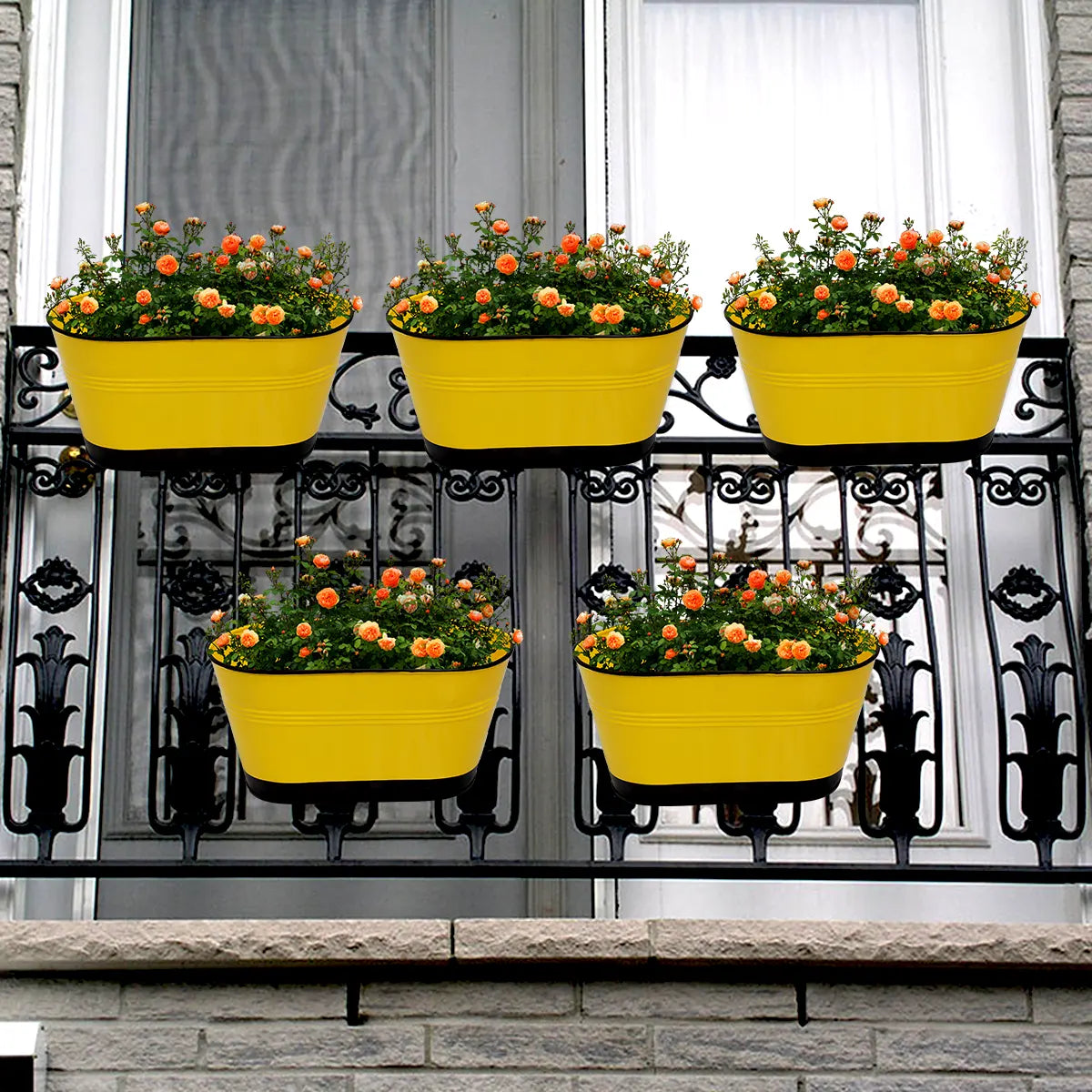 Hanging Planter Oval Shaped | Detachable Handle 10'' Inch (Multi Color) (Set of 5) Oval Balcony Hanging Pot Urban Plant Yellow 