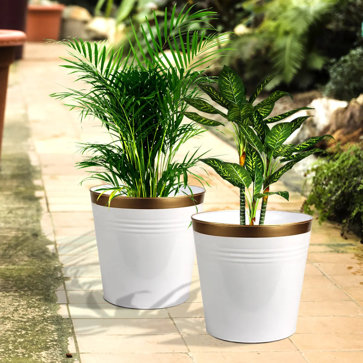 Bucket Patio Planter Urban Plant White 2 