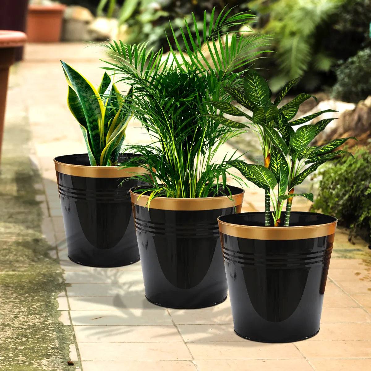 Bucket Patio Planter Urban Plant Black 3 