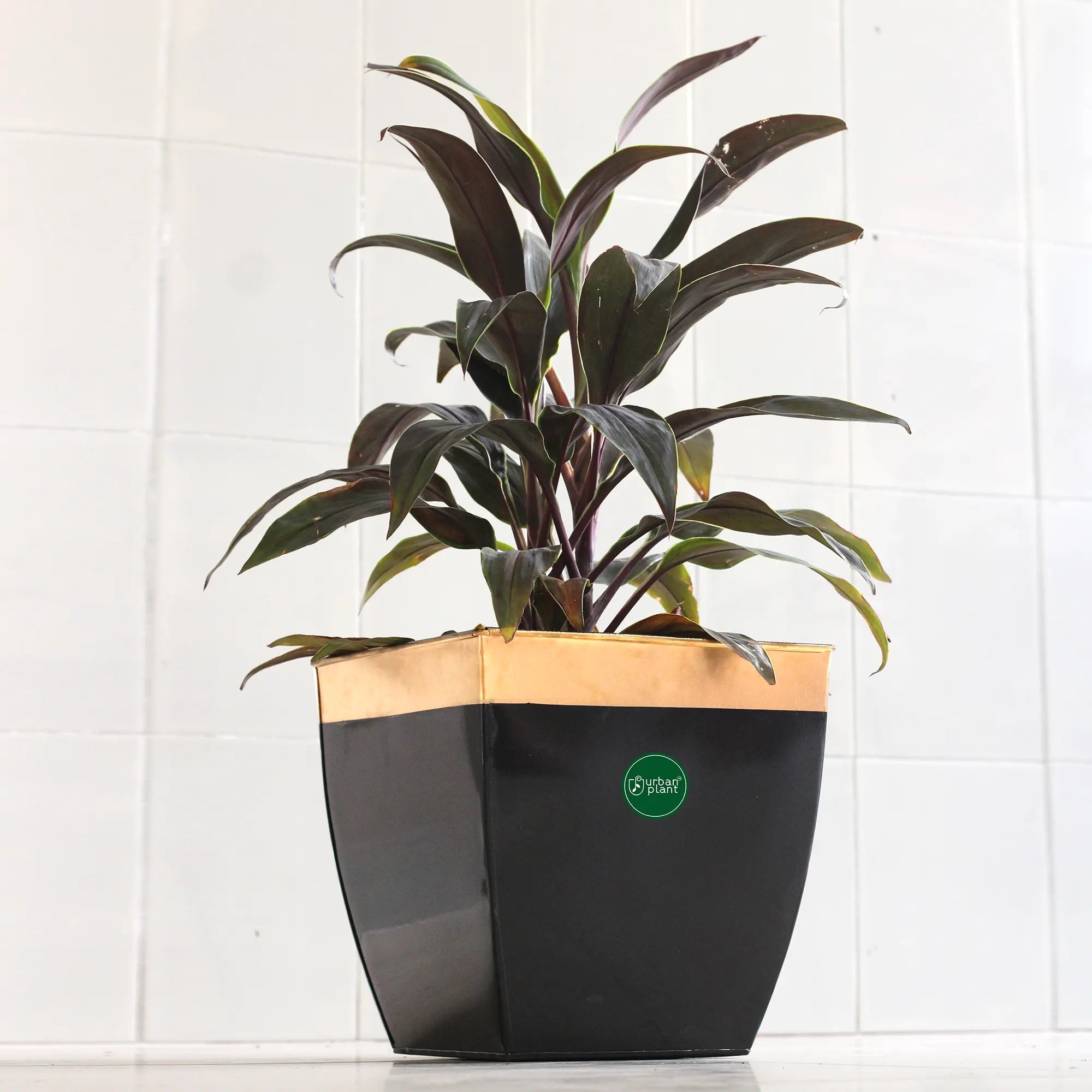 Midland Lawn Patio Plant Metal Pot 12 inch Metal Patio Planter Urban Plant Single Black 