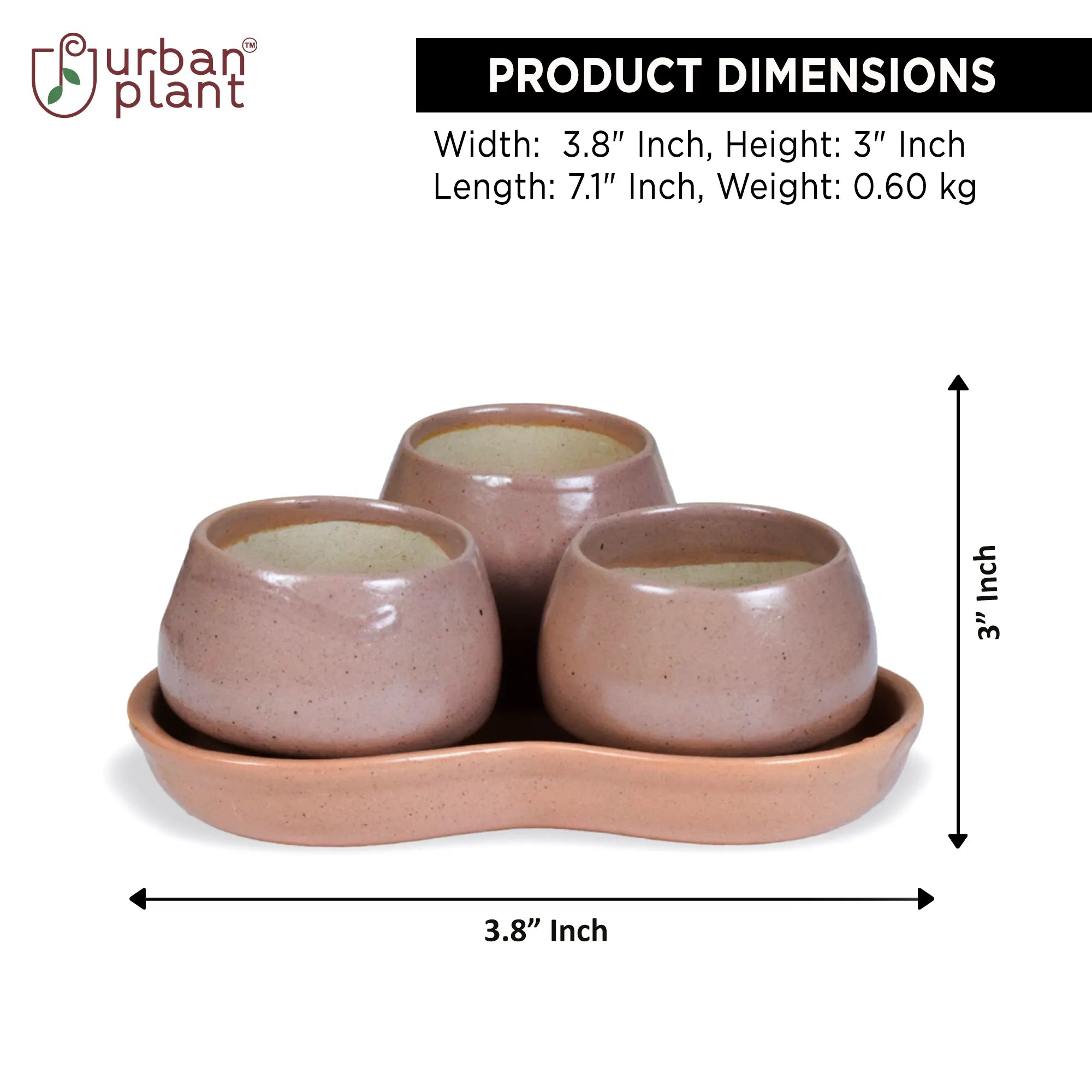 Herb Pot Planter Set with Tray Ceramic Planters Urban Plant 