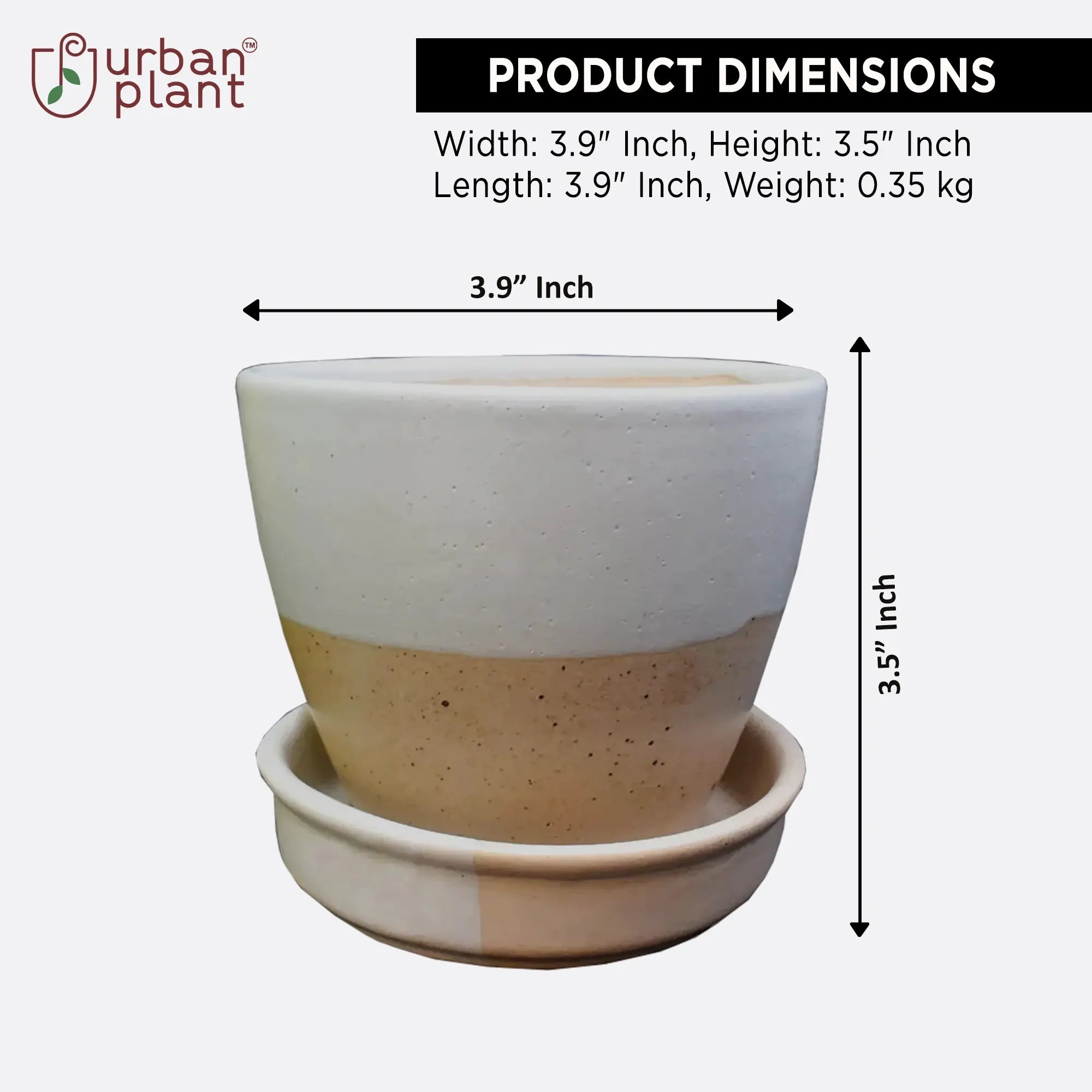 Dual Color Planter with Saucer Base Ceramic Planters Urban Plant 
