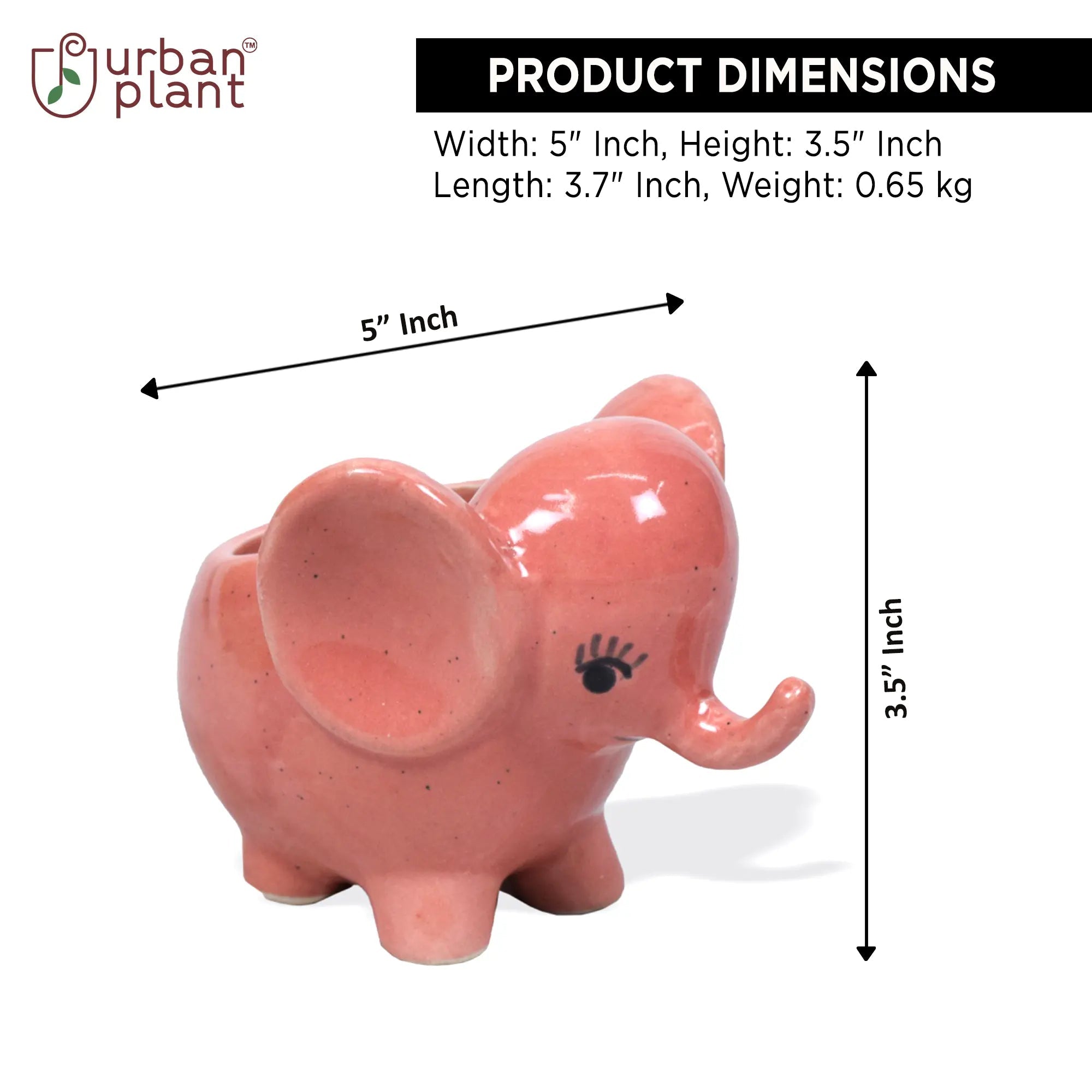 Mini Elephant Planter Ceramic Planters Urban Plant 
