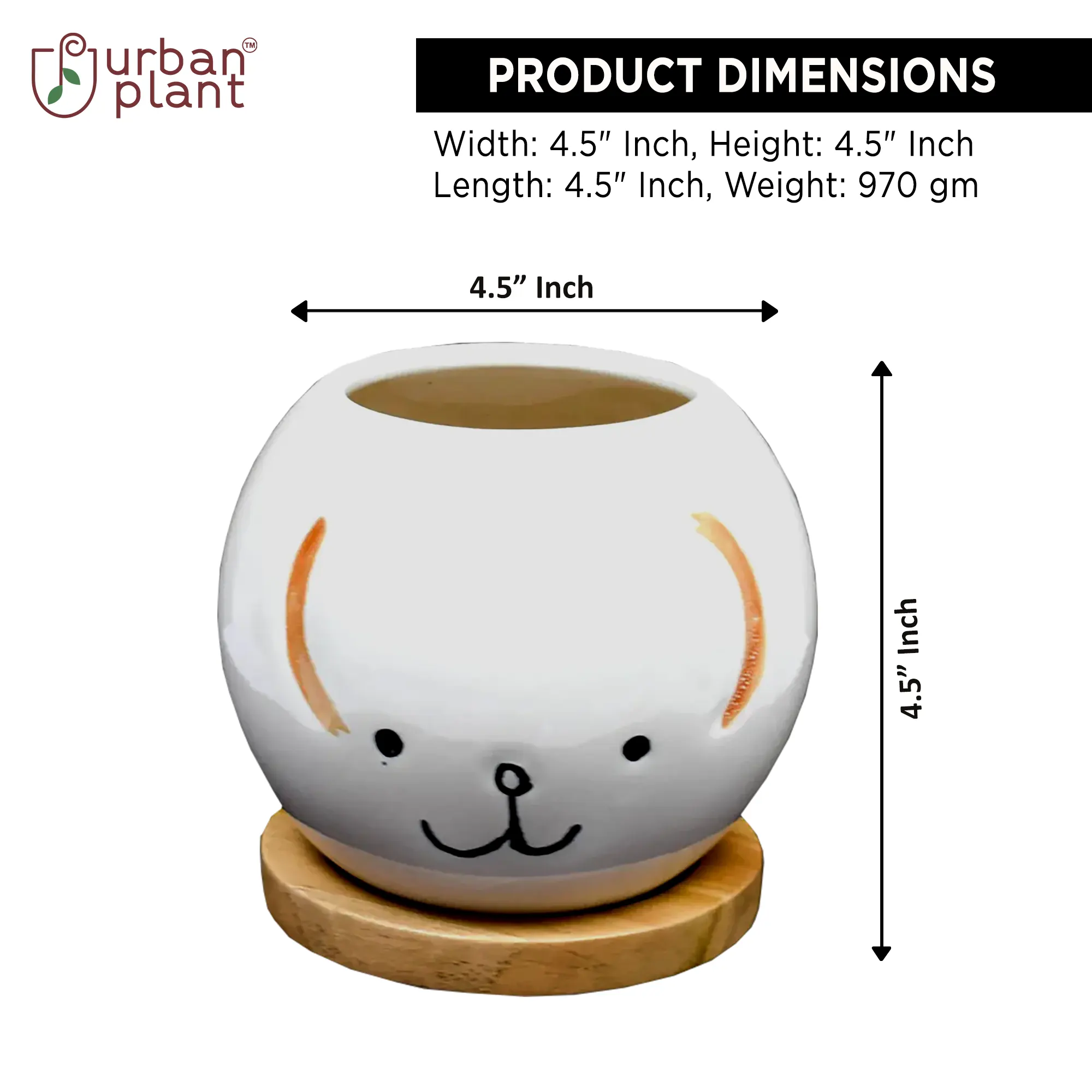 Cute Puppy Face Ceramic Planter with Wooden Tray Ceramic Planters Urban Plant 