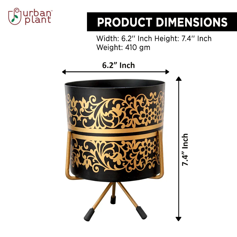 Brocade Pattern Pot with Stand (Black with Gold Pattern) Indoor/Table Top Planter Urban Plant 