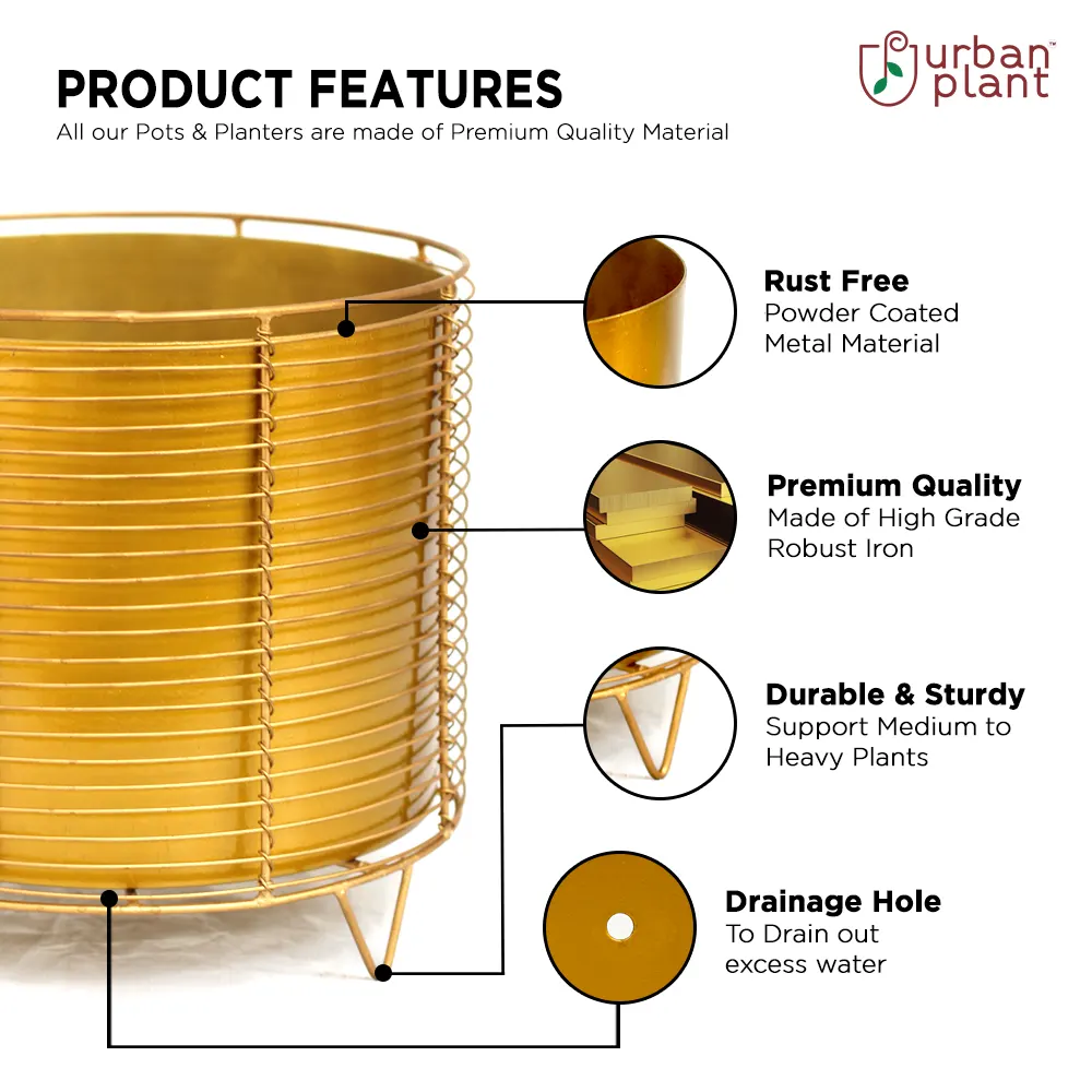 The Golden Cage Metal Planter Floor Standing Urban Plant 