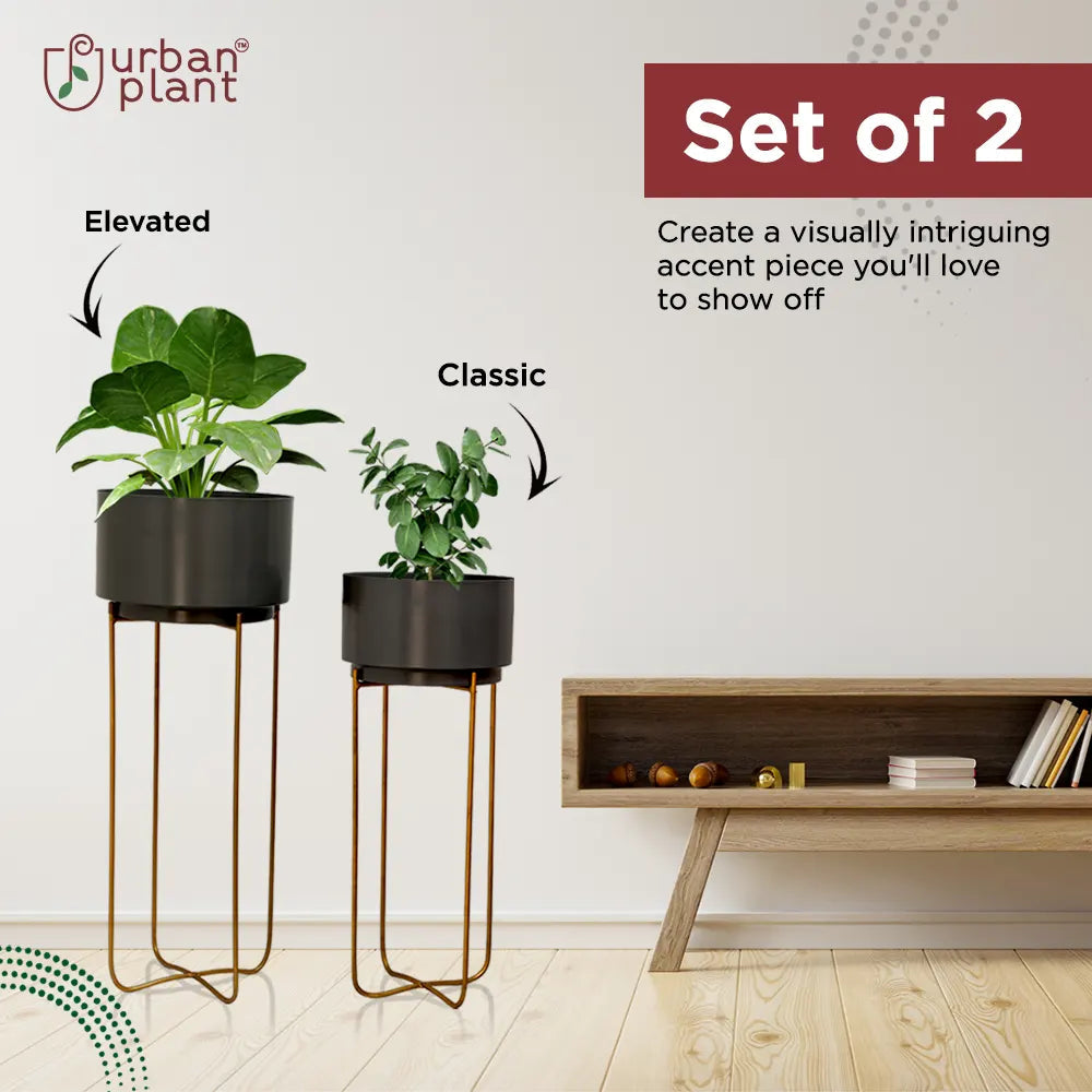 Urban Ambience Planters with Stand (Set of 2) Planter with Stand Urban Plant 