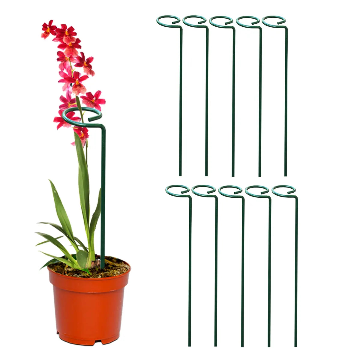 Garden Stakes - Metal Plant Support Sticks Urban Plant Set of 10 