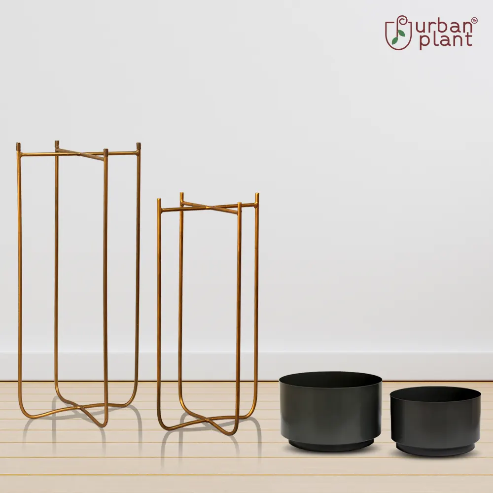 Urban Ambience Planters with Stand (Set of 2) Planter with Stand Urban Plant 