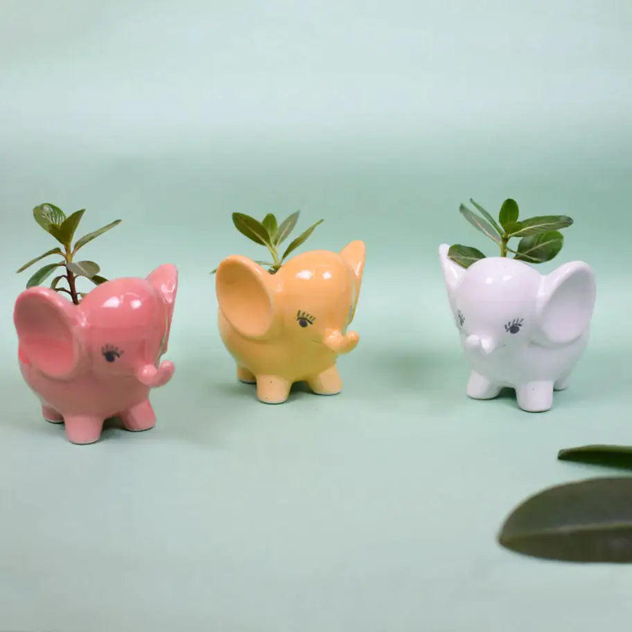 Mini Elephant Planter Ceramic Planters Urban Plant 
