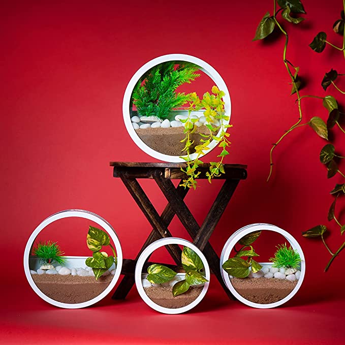 Buy Circular Wall Hanging Metal Planters Online-Set of 4 Wall Hanging Planter Urban Plant White 